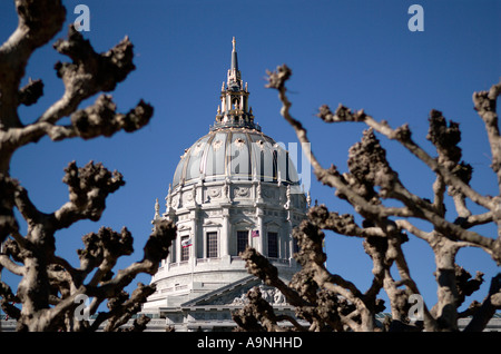 San Francisco City Hall Stockfoto