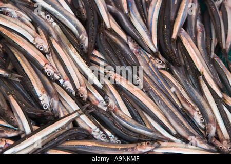 Frische Sardellen Fisch zum Verkauf auf einem Markt in Ameyoko-Markt in der Nähe von Bahnhof Ueno, Taito Ward, Tokio, Japan Stockfoto