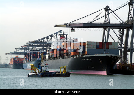 Container-Schiffe am Kai Hafen von Southampton England Grossbritannien Südengland angedockt Stockfoto