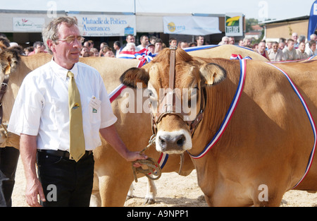 Vieh Fayre in Parthenay, Frankreich Stockfoto