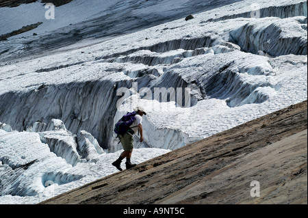 Wanderer auf Gletscher Jackson Gletscher Glacier Nationalpark Montana USA Stockfoto