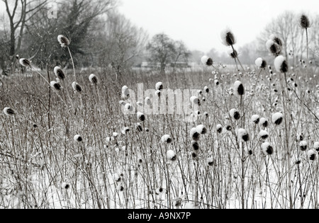 bieten in leichter Schneefall im Winter überdacht in Suffolk Stockfoto