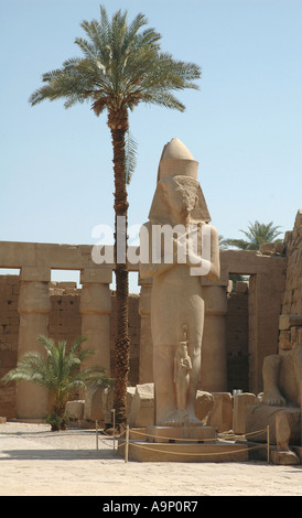 Statue von Ramses II in Memphis, Ägypten Stockfoto