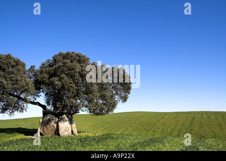 Andreiros Dolmen in Crato, Portalegre District, Portugal. Stockfoto