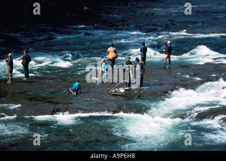 Angeln auf Lachs in Stempel Fluss in Stempel Falls Provincial Park in der Nähe von Port Alberni auf Vancouver Island in British Columbia Kanada Stockfoto