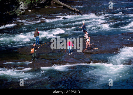 Angeln auf Lachs in Stempel Fluss in Stempel Falls Provincial Park in der Nähe von Port Alberni auf Vancouver Island in British Columbia Kanada Stockfoto