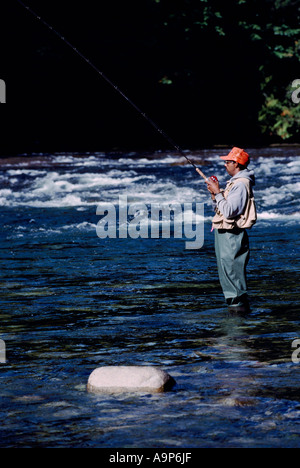 Angeln auf Lachs in Stempel Fluss in Stempel Falls Provincial Park in der Nähe von Port Alberni auf Vancouver Island in British Columbia Kanada Stockfoto