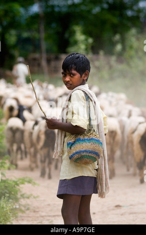 Indische Ziege Herder junge mit Ziegen auf staubigen Weg. Andhra Pradesh, Indien Stockfoto