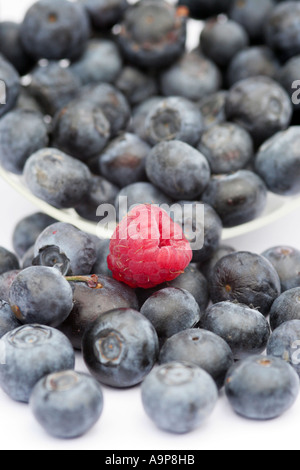 Blueberries and raspberry against white Stockfoto