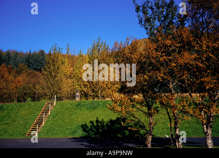 Skogar im Herbst Stockfoto