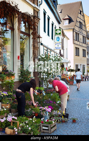 Frauen kaufen Pflanzen in einem Blumenladen in Bad Munstereifel, Deutschland, Europa Stockfoto