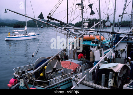 Tofino, BC, Vancouver Island, British Columbia, Kanada - kommerzielle Garnelen Fischerboot angedockt, um frische Garnelen entladen Stockfoto