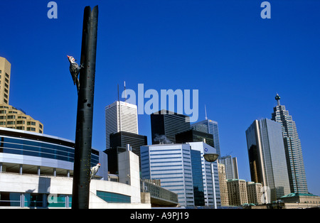 Kanada Ontario Toronto Blick auf skyline Stockfoto