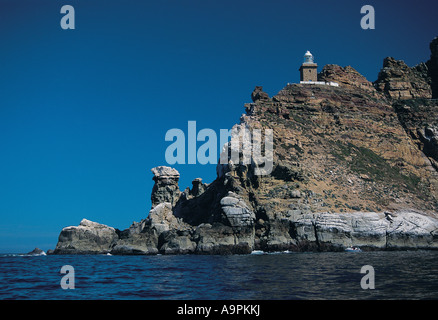 Cape Point mit seinem Leuchtturm Western Cape Südafrika Stockfoto