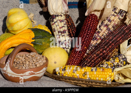 Kürbis, Mais, Bohnen, die Drei Schwestern der gebürtigen amerikanischen Landwirtschaft. Digitale Fotografie Stockfoto