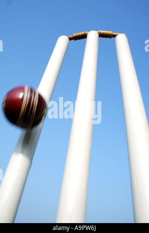 Niedrigen Winkel Ansicht der Cricket Stümpfe Stockfoto