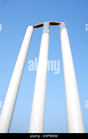 Niedrigen Winkel Ansicht der Cricket Stümpfe Stockfoto