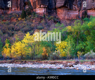 Das Tor zu den Engstellen im Herbst Zion Canyon Utah USA Stockfoto