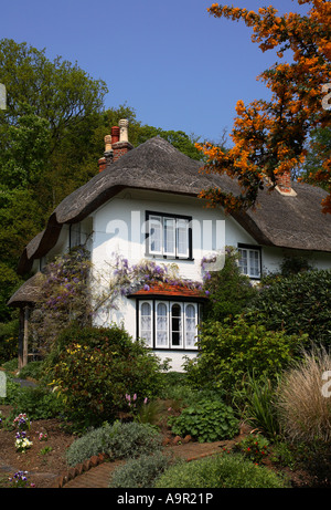 Bienenstock Cottage, New Forest, Hampshire, England Stockfoto