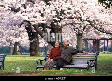 Schöne alte japanische paar sitzen auf Holzbank umgeben von Kirschblüten in Tokio park Stockfoto