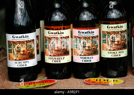 Flaschen von Gwatkin Cider für den Verkauf auf Stand auf Ludlow Food Festival Shropshire England UK Stockfoto