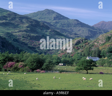 Beddgelert Caernarfon Merionethshire Snowdonia-Nationalpark-Wales Stockfoto