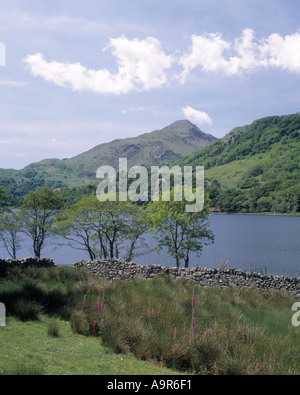 Llyn Gwynant Caernarfon Merionethshire Snowdonia-Nationalpark-Wales Stockfoto