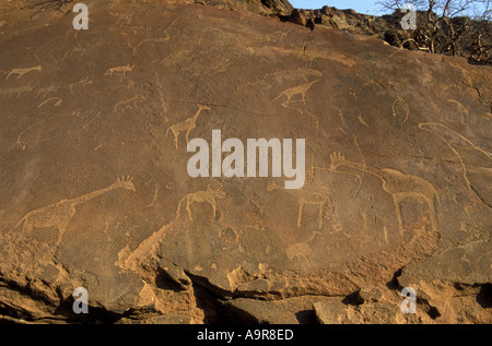 Rock-Gravur von San Leute oder Buschmänner Twfelfontein National Monument Damaraland Namibia Nordafrika gemacht Stockfoto