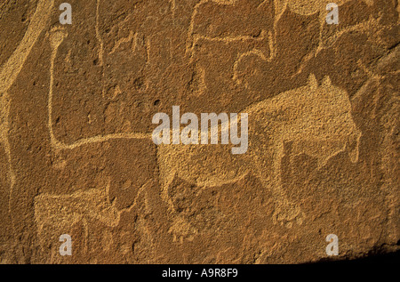 Rock-Gravur von San Leute oder Buschmänner Twfelfontein National Monument Damaraland Namibia Nordafrika gemacht Stockfoto