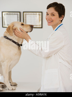 Weibliche Tierarzt untersuchen in Hund Stockfoto