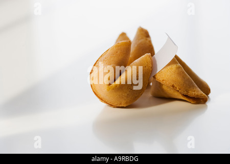 Close up Portrait of Fortune cookies Stockfoto