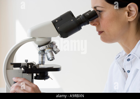 Wissenschaftlerin Mikroskop untersucht Stockfoto