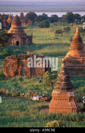 Burmesische Landwirt fährt seine Ochsenkarren vorbei Ziegelstein Pagoden in Ywahassnggyi Pagan Stockfoto