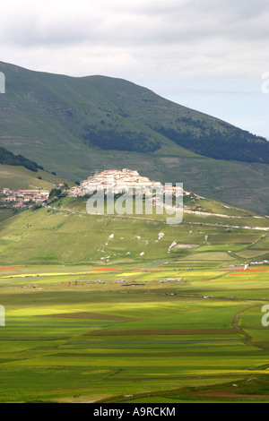 Eine wunderbare Ausstellung von Mohn und viele andere Wildblumen bedecken die Piano Grande im Nationalpark der Monti Sibillini, Le Marche, Italien Stockfoto