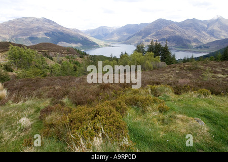 Loch Duich von Bealach Ratagain in der Nähe von Shiel Bridge Schottland gesehen Stockfoto