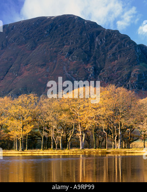 Sonnenlicht durchströmt das Buttermere Tal und die umliegenden Fells macht das herbstliche Farbenspiel Crummock Wasser Leuchten Stockfoto