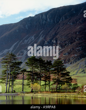 Sonnenlicht durchströmt das Buttermere Tal und die umliegenden Fells macht das herbstliche Farbenspiel Crummock Wasser Leuchten Stockfoto