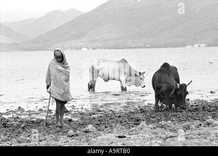 S/W eines jungen Tigray-Schäfers mit Rindern am Ufer des Ashenge-Sees, Tigray, Äthiopien, Afrika Stockfoto