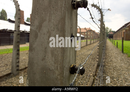 Nahaufnahme eines Teils der Stacheldraht Zaun um 1 KZ Auschwitz in Polen. Stockfoto