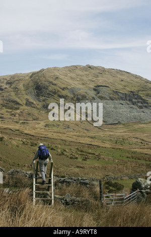 Annäherung an die Moel Hebog aus dem Südwesten in Snowdonia, Nordwales Stockfoto