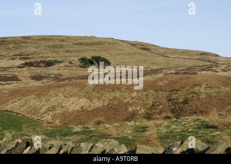 Verliebte sich in den North Pennines von Cumbria Talkin Stockfoto