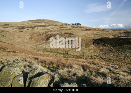 Verliebte sich in den North Pennines von Cumbria Talkin Stockfoto