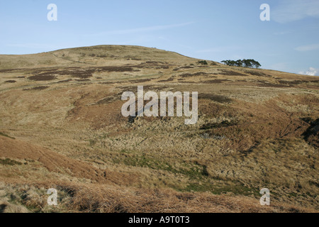 Verliebte sich in den North Pennines von Cumbria Talkin Stockfoto