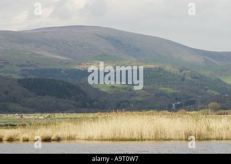 Ynys Hir RSPB Reserve in Wales, mit Blick auf den Fluss Dovey und den Hügeln des Bereichs Tarrens Stockfoto