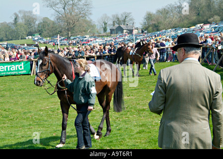 Paradepferde im Fahrerlager vor einem Punkt-zu-Punkt-Rennen bei einem Treffen in der Landschaft von South Devon. GROSSBRITANNIEN Stockfoto