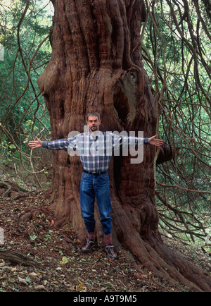 Mann mit ausgestreckten Armen vor 2000 Jahre alte Eibe (Taxus Baccata), des Druiden Hain, Norbury Park, Surrey, England Stockfoto