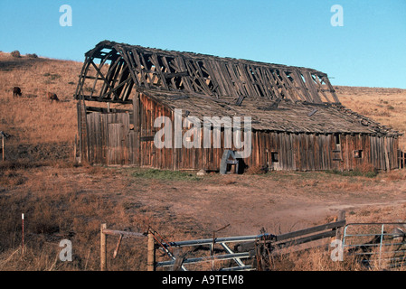 Alten Scheunen, Okanogan County Stockfoto