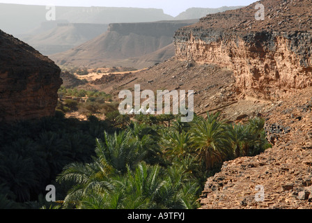 Tafelbergen Oase Adrar Region Wüste Sahara Mauretanien Stockfoto