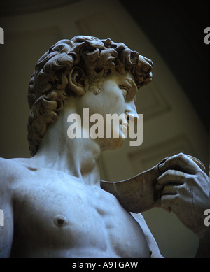 STATUE VON MICHELANGELO DAVID ACCADEMIA DI BELLE ARTI FLORENZ TOSKANA ITALIEN Stockfoto