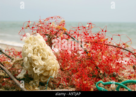 Strandgut angespült am Strand. Stockfoto